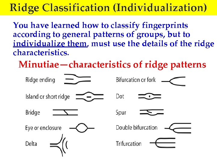 Ridge Classification (Individualization) You have learned how to classify fingerprints according to general patterns
