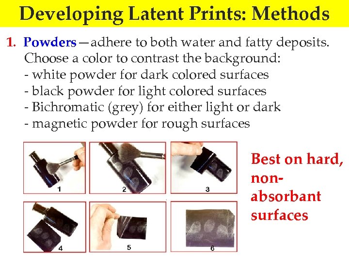 Developing Latent Prints: Methods 1. Powders—adhere to both water and fatty deposits. Choose a