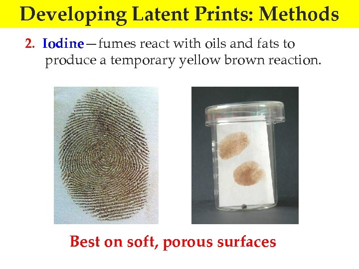 Developing Latent Prints: Methods 2. Iodine—fumes react with oils and fats to produce a