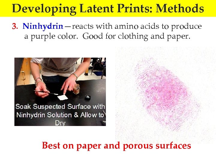 Developing Latent Prints: Methods 3. Ninhydrin—reacts with amino acids to produce a purple color.