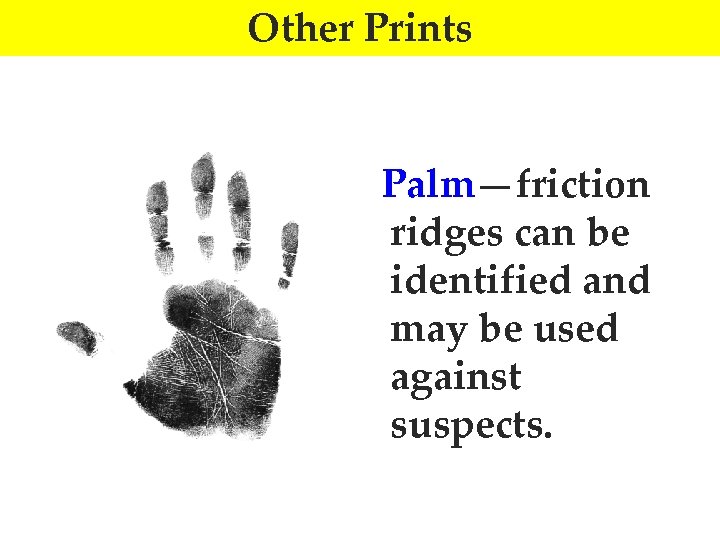 Other Prints Palm—friction ridges can be identified and may be used against suspects. 