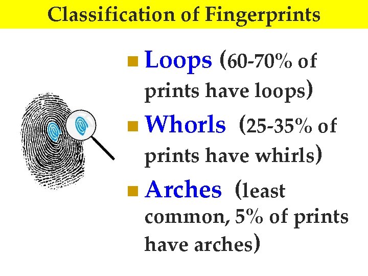 Classification of Fingerprints n Loops (60 -70% of prints have loops) n Whorls (25