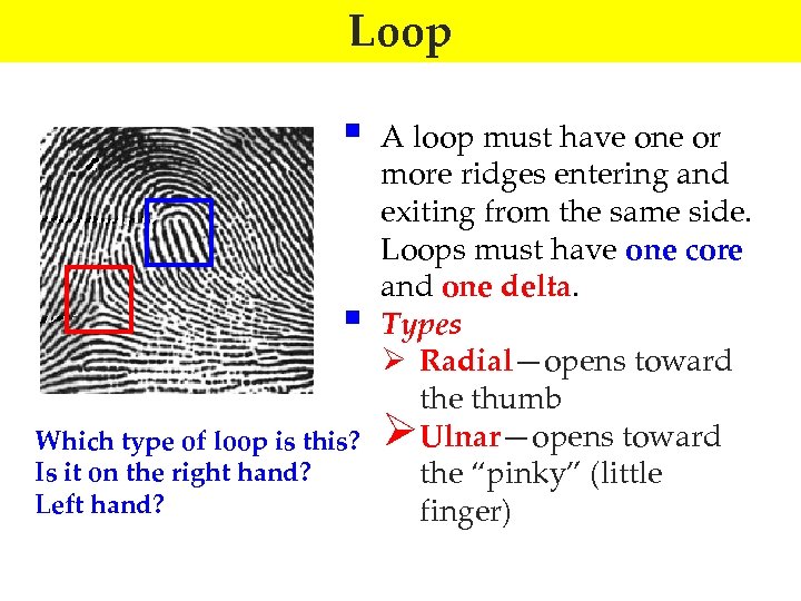Loop § A loop must have one or more ridges entering and exiting from