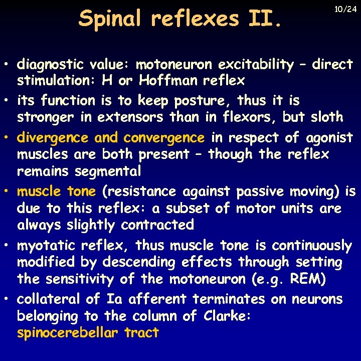 Spinal reflexes II. 10/24 • diagnostic value: motoneuron excitability – direct stimulation: H or