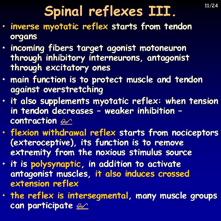 Spinal reflexes III. 11/24 • inverse myotatic reflex starts from tendon organs • incoming