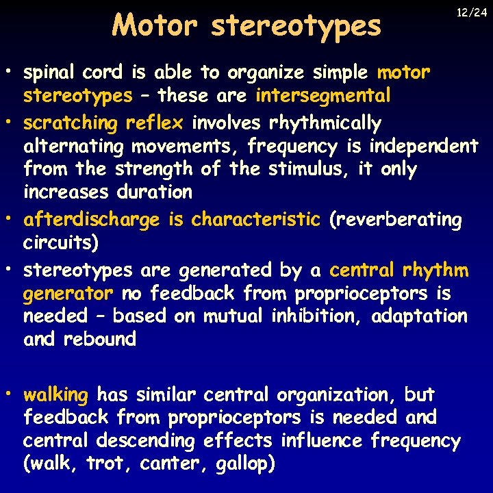 Motor stereotypes 12/24 • spinal cord is able to organize simple motor stereotypes –