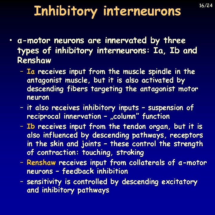 Inhibitory interneurons 16/24 • α-motor neurons are innervated by three types of inhibitory interneurons:
