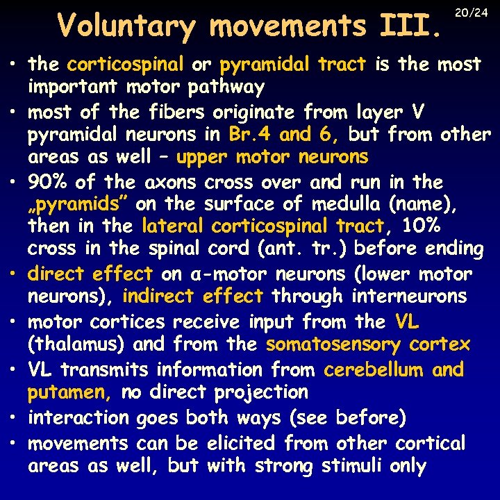 Voluntary movements III. 20/24 • the corticospinal or pyramidal tract is the most important