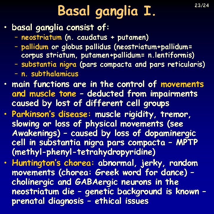 Basal ganglia I. 23/24 • basal ganglia consist of: – neostriatum (n. caudatus +
