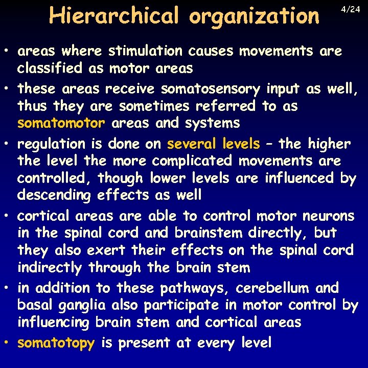 Hierarchical organization 4/24 • areas where stimulation causes movements are classified as motor areas