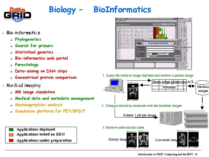 Biology – Ø Bio-informatics n Phylogenetics n Search for primers n Statistical genetics n