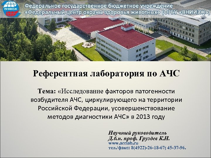 Референтная лаборатория по АЧС Тема: «Исследование факторов патогенности возбудителя АЧС, циркулирующего на территории Российской