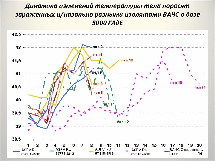 Динамика изменений температуры тела поросят зараженных и/назально разными изолятами ВАЧС в дозе 5000 ГАд.