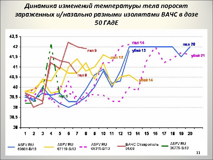 Динамика изменений температуры тела поросят зараженных и/назально разными изолятами ВАЧС в дозе 50 ГАд.