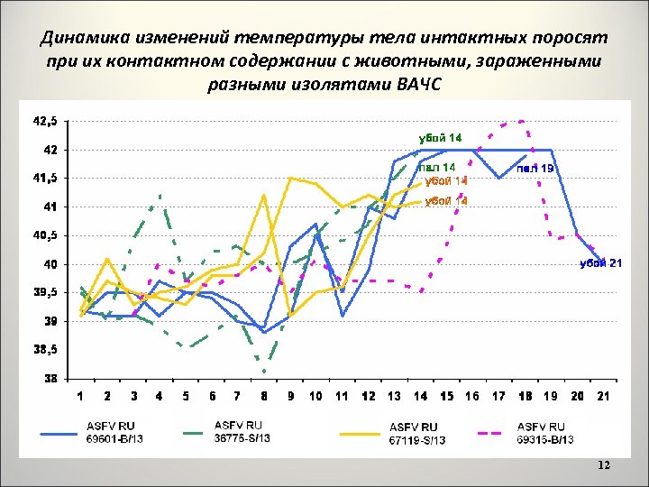 Динамика изменений температуры тела интактных поросят при их контактном содержании с животными, зараженными разными