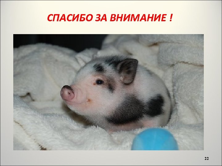 СПАСИБО ЗА ВНИМАНИЕ ! 22 
