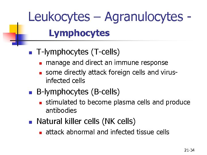 Leukocytes – Agranulocytes Lymphocytes n T-lymphocytes (T-cells) n n n B-lymphocytes (B-cells) n n