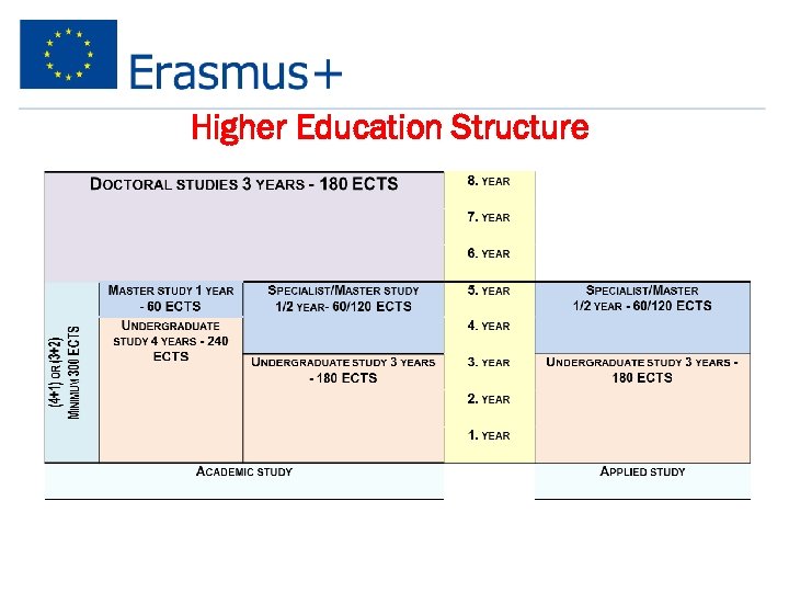 Higher Education Structure 