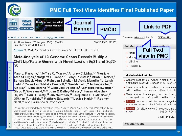 PMC Full Text View Identifies Final Published Paper Journal Banner PMCID Link to PDF