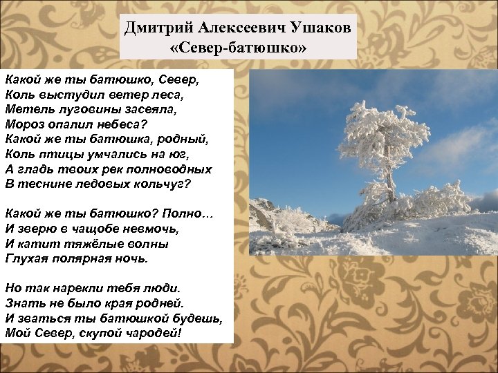 Стихотворения дмитрия. Стихи Дмитрия Ушакова. Стихи Дмитрия Ушакова о севере.