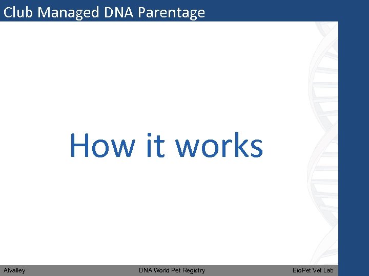 Club Managed DNA Parentage How it works Alvalley DNA World Pet Registry Bio. Pet