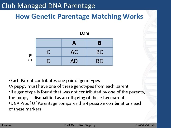 Club Managed DNA Parentage How Genetic Parentage Matching Works Sire Dam C D A