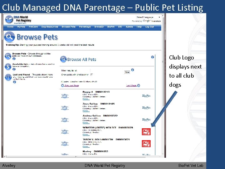 Club Managed DNA Parentage – Public Pet Listing Club Logo displays next to all