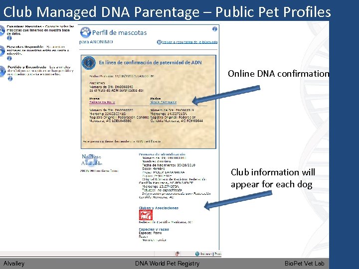 Club Managed DNA Parentage – Public Pet Profiles Online DNA confirmation Club information will