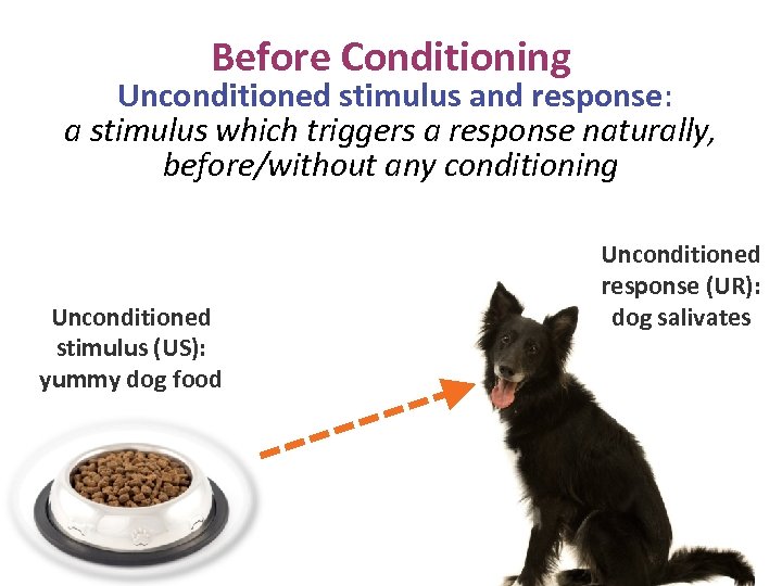 Before Conditioning Unconditioned stimulus and response: a stimulus which triggers a response naturally, before/without
