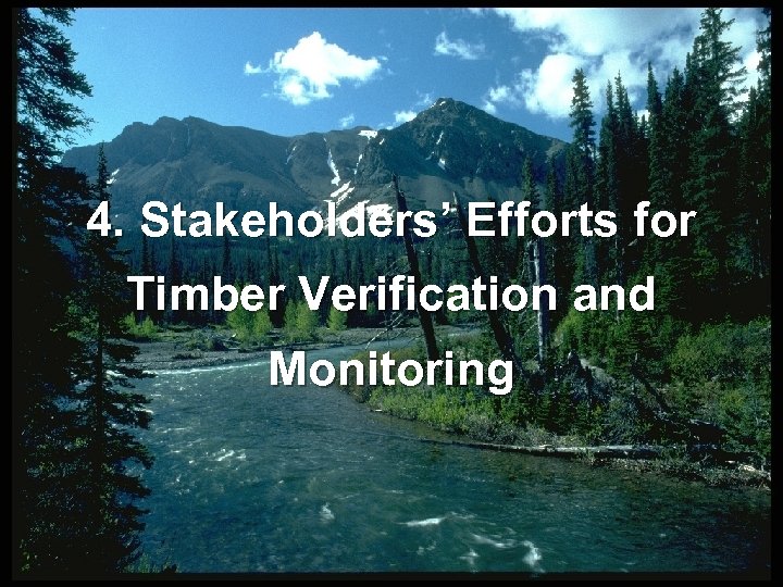 4. Stakeholders’ Efforts for Timber Verification and Monitoring 