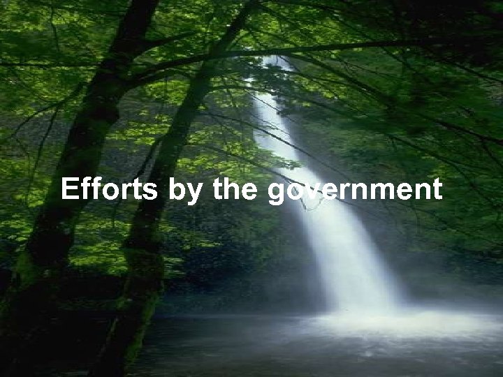 Efforts by the government 