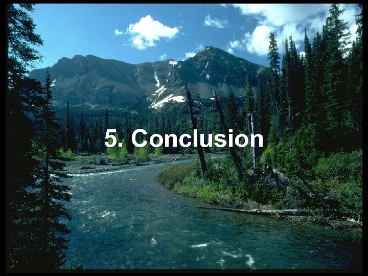 5. Conclusion 