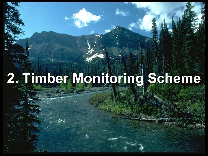 2. Timber Monitoring Scheme 