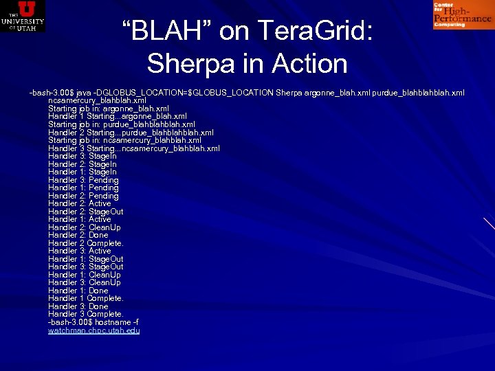 “BLAH” on Tera. Grid: Sherpa in Action -bash-3. 00$ java -DGLOBUS_LOCATION=$GLOBUS_LOCATION Sherpa argonne_blah. xml