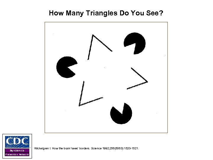 How Many Triangles Do You See? Syndemics Prevention Network Wickelgren I. How the brain