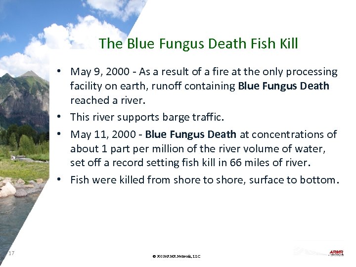 The Blue Fungus Death Fish Kill • May 9, 2000 - As a result