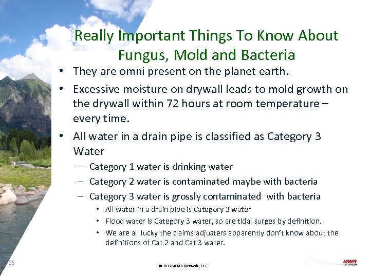 Really Important Things To Know About Fungus, Mold and Bacteria • They are omni