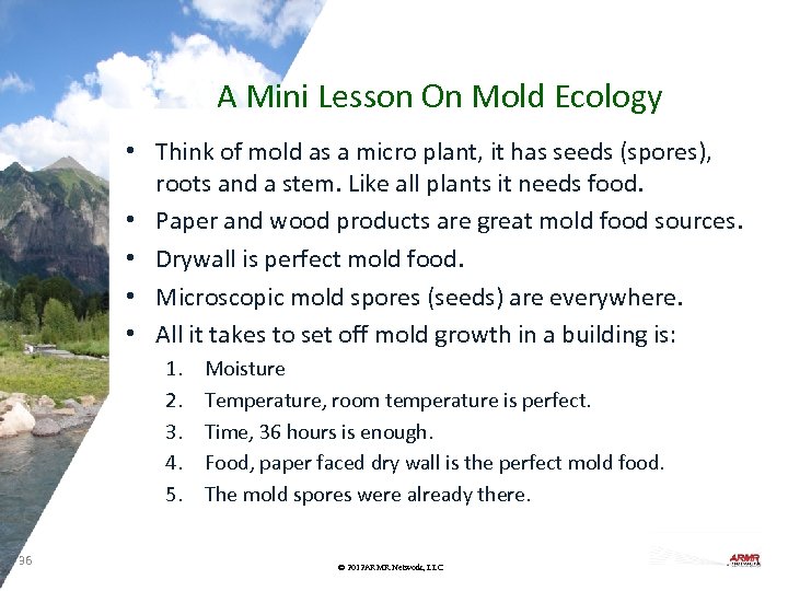 A Mini Lesson On Mold Ecology • Think of mold as a micro plant,