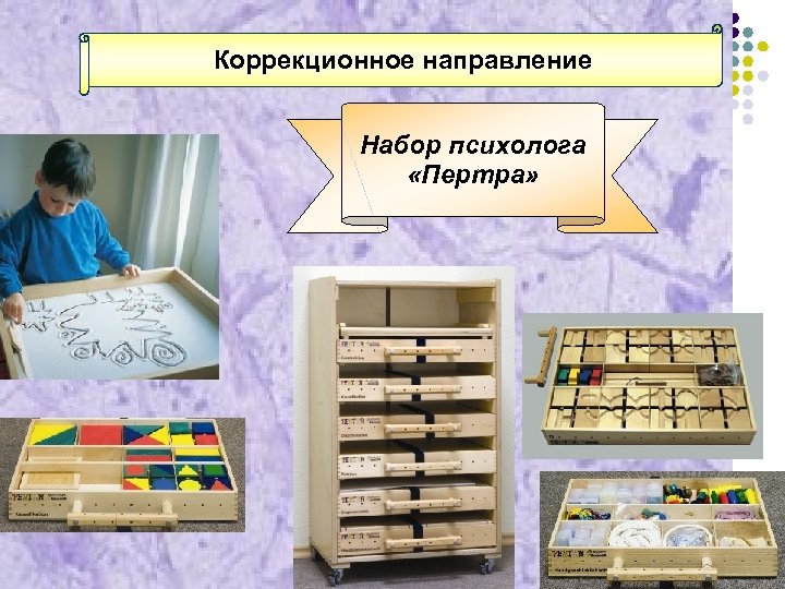 Коррекционное направление Набор психолога «Пертра» 