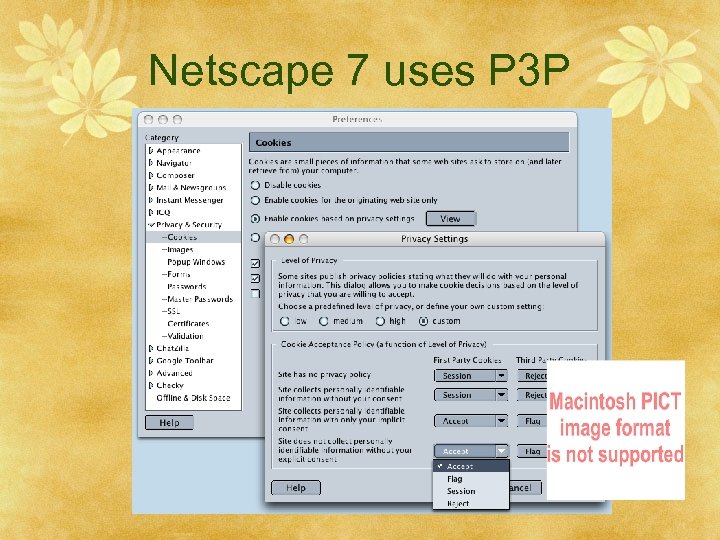 Netscape 7 uses P 3 P 
