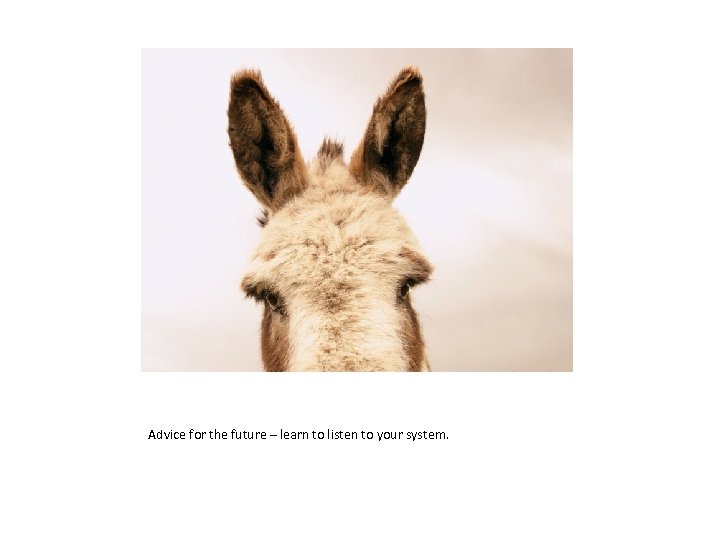 Advice for the future – learn to listen to your system. 