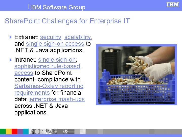 IBM Software Group Share. Point Challenges for Enterprise IT 4 Extranet: security, scalability, and