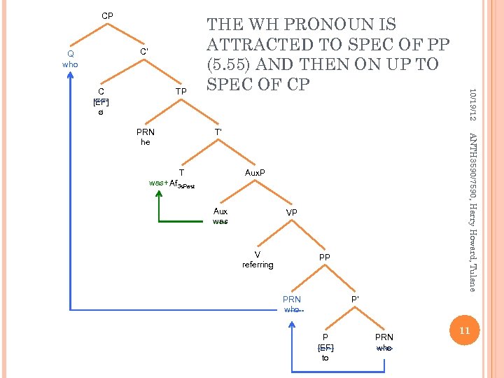 CP C’ Q who TP T’ ANTH 3590/7590, Harry Howard, Tulane PRN he Aux.