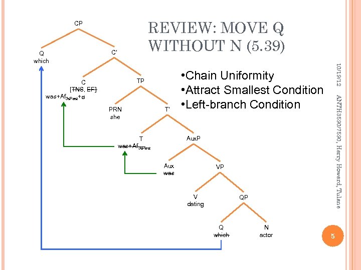 REVIEW: MOVE Q WITHOUT N (5. 39) CP C’ TP PRN she T’ •