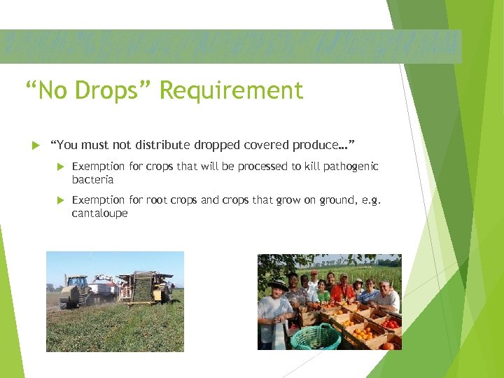 “No Drops” Requirement “You must not distribute dropped covered produce…” Exemption for crops that