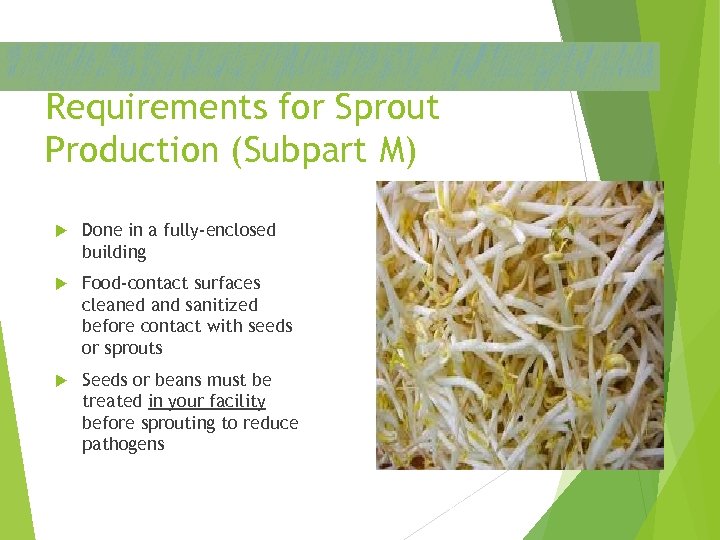 Requirements for Sprout Production (Subpart M) Done in a fully-enclosed building Food-contact surfaces cleaned