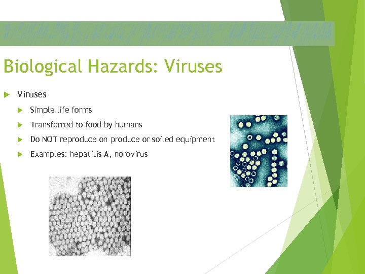Biological Hazards: Viruses Simple life forms Transferred to food by humans Do NOT reproduce
