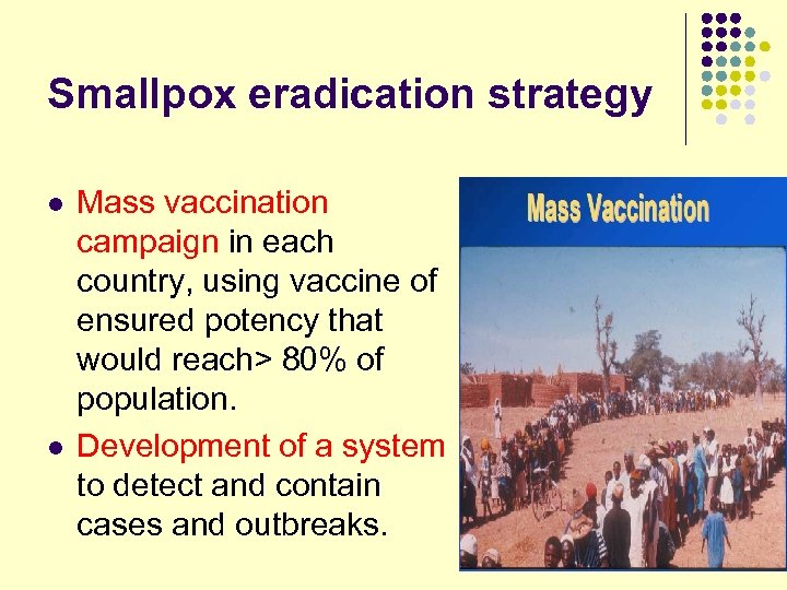 Smallpox eradication strategy l l Mass vaccination campaign in each country, using vaccine of