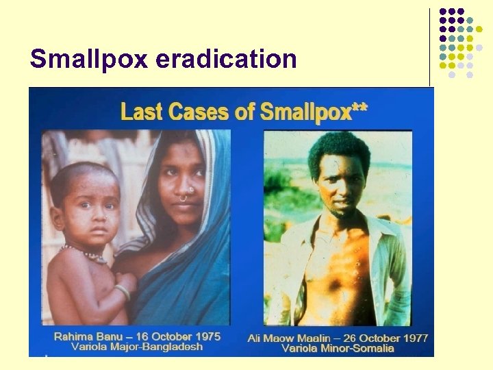 Smallpox eradication 