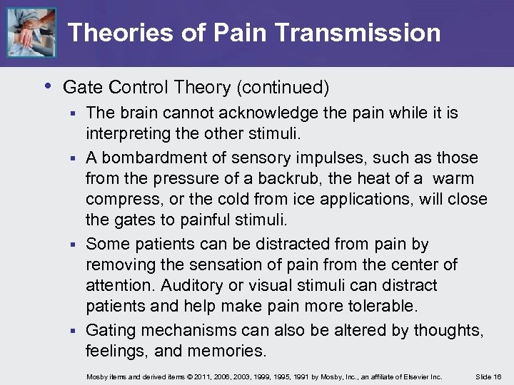 Theories of Pain Transmission • Gate Control Theory (continued) The brain cannot acknowledge the